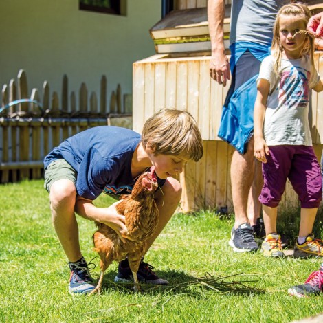 Sabingerhof: Hoftiere zum Füttern und Streicheln Ein Junge versucht ein Huhn vom Stabingerhof aufzuheben