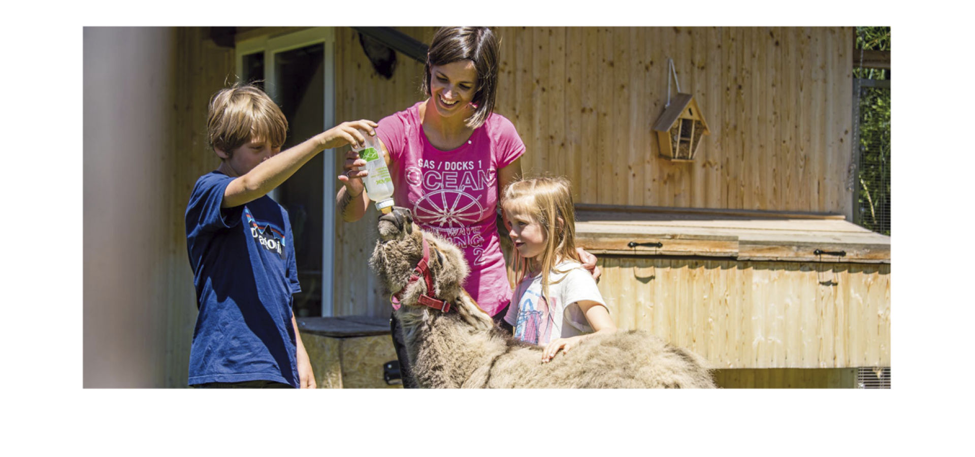 Stabingerhof: Urlaub und Erlebnisse auf dem Bauernhof Ene Mutter und ihre zwei Kinder bei der Fütterung des kleinen Esels auf dem Stabingerhof
