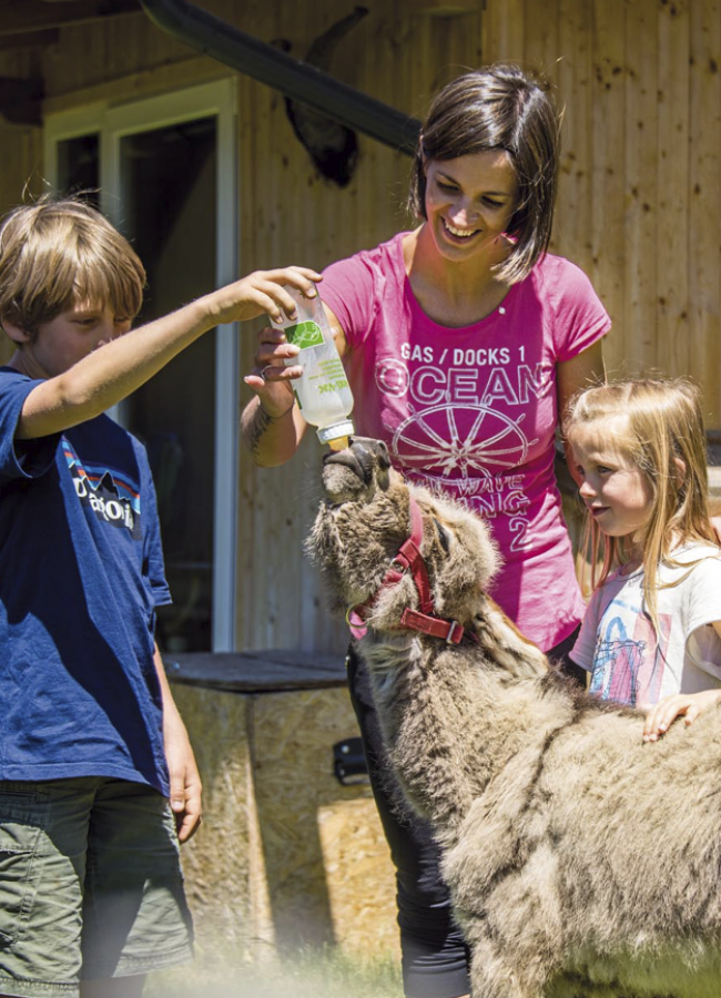 Stabingerhof: Urlaub auf dem Bauernhof für die ganze Familie. Eine Mutter und ihre zwei Kinder bei der Füttung von einem kleinen Esel