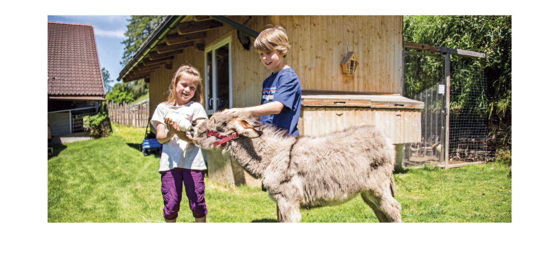 Stabingerhof: Urlaub auf dem Bauerhof in Südtirol Kinder beim Füttern eines Esels auf einer Wiese hinter dem Stabingerhof