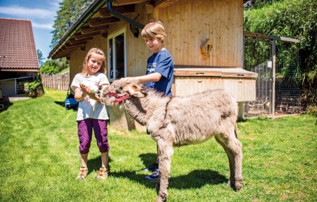 Stabingerhof: Tiere die darauf warten von Klein und Groß gestreichelt zu werden Zwei glückliche Kinder beim Füttern eines jungen Esels vom Stabingerhof in Sexten.