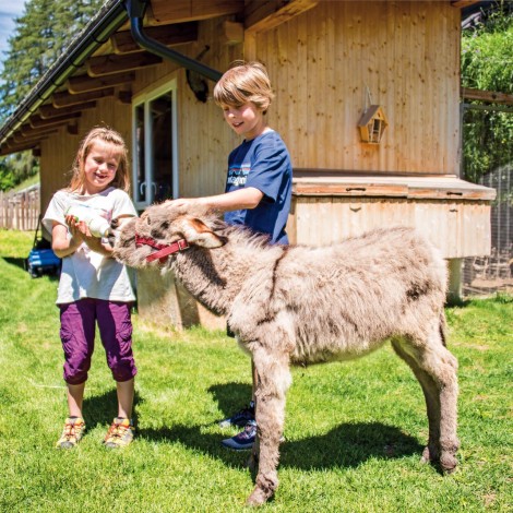 Zwei glückliche Kinder beim Füttern eines jungen Esels vom Stabingerhof in Sexten.