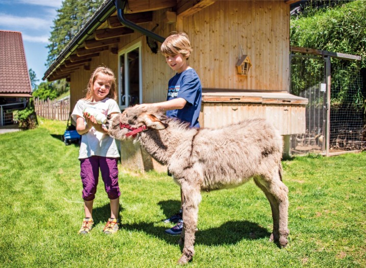 Stabingerhof: Tiere die darauf warten von Klein und Groß gestreichelt zu werden Zwei glückliche Kinder beim Füttern eines jungen Esels vom Stabingerhof in Sexten.